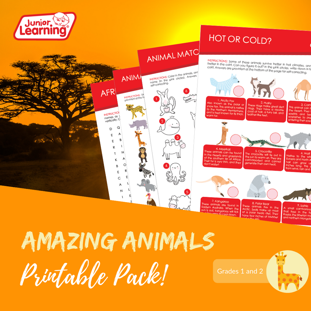 Amazing Animal Printables – Junior Learning USA