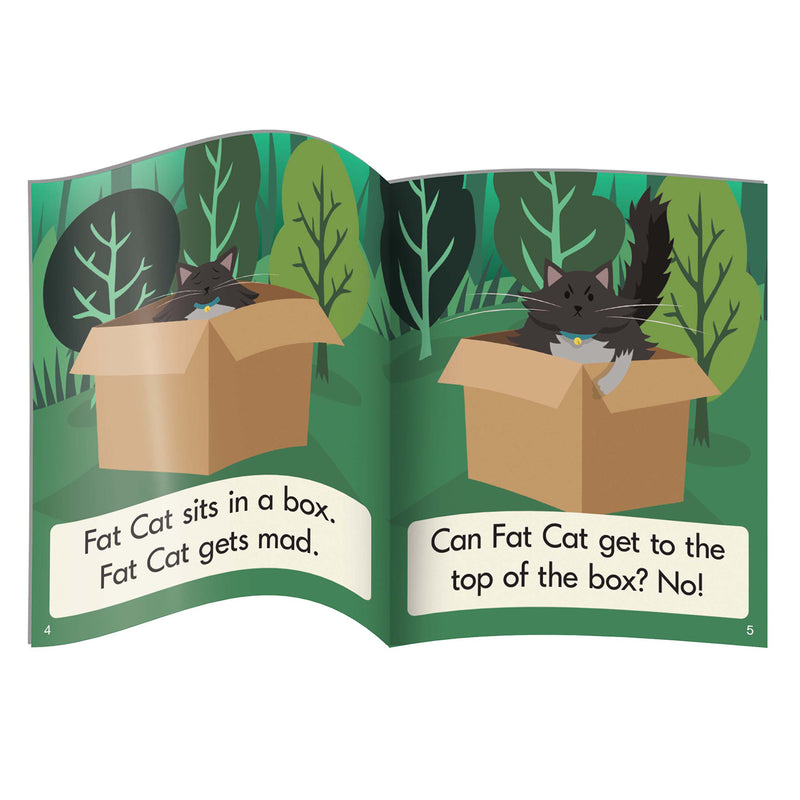 Letters & Sounds Phase 3 Set 2 Fiction – Junior Learning USA
