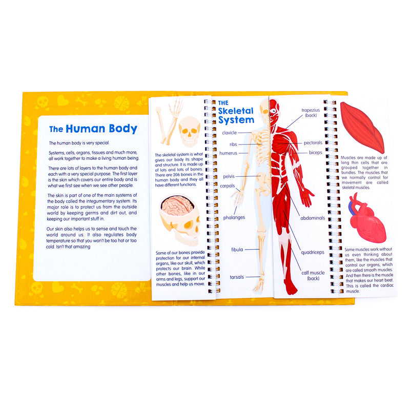 The HUMAN BODY Flip Flap Book®  Distance Learning – Simply Skilled Teaching