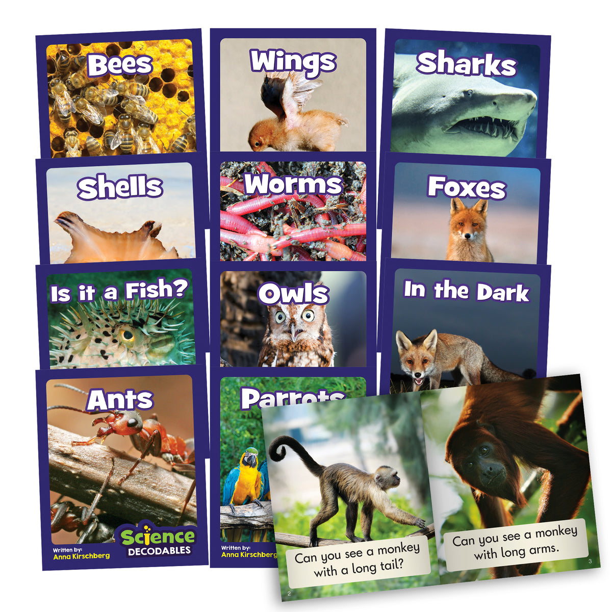 Junior Learning BB901 Science Decodables Phase 3 Non-Fiction - 6 Pack all books
