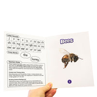 Junior Learning BB901 Science Decodables Phase 3 Non-Fiction - 6 Pack information page