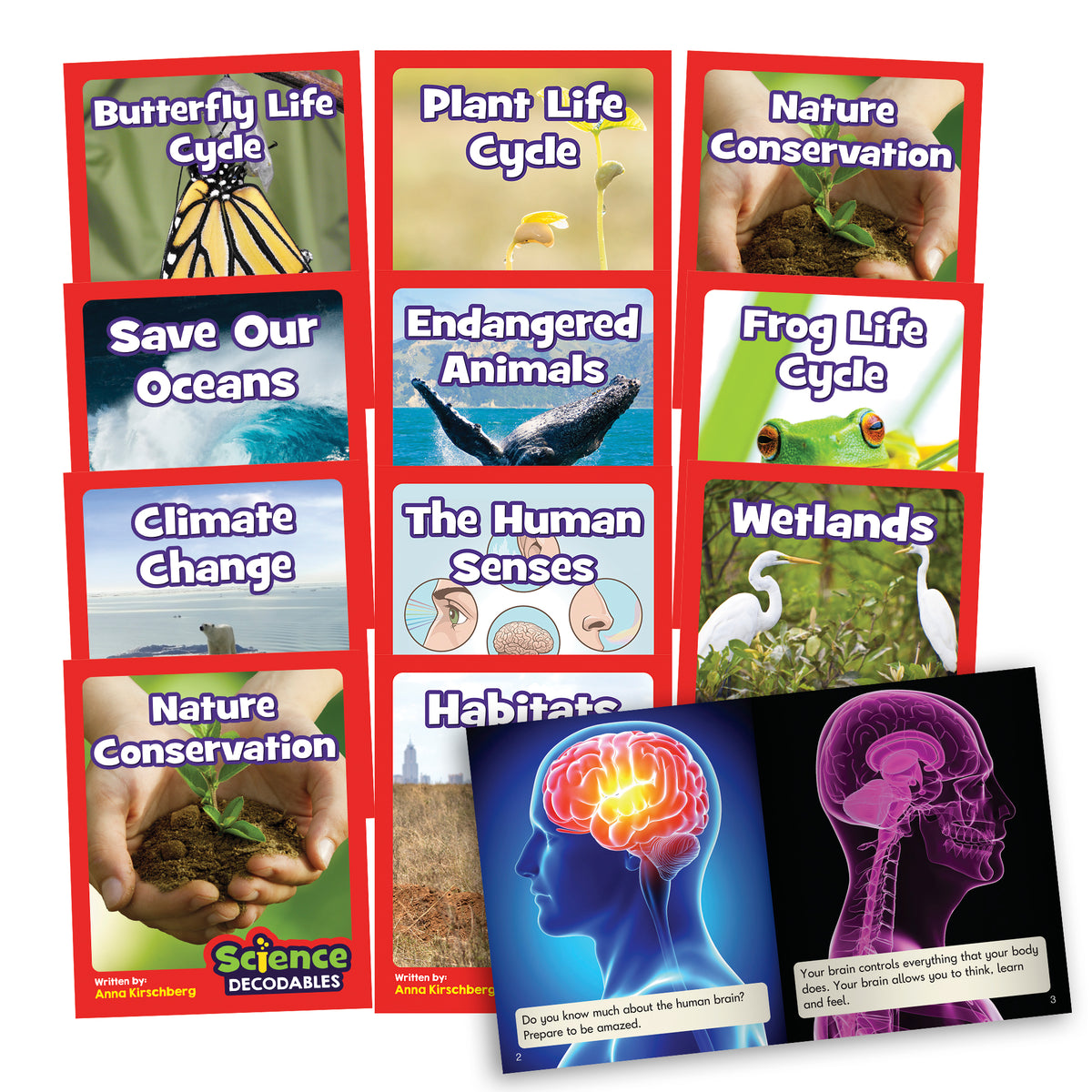 Junior Learning BB904 Science Decodables Phase 6 Non-Fiction - 6 Pack all books