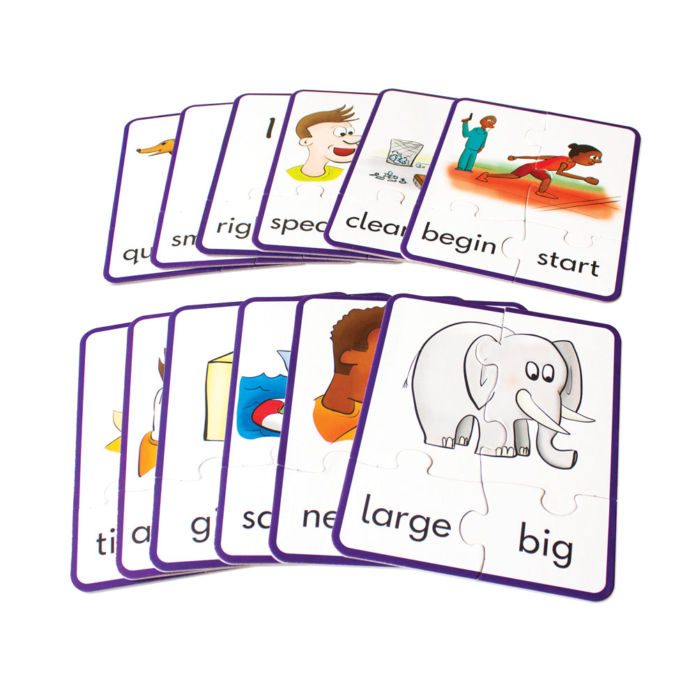 Junior Learning JL241 Synonym Puzzles all cards completed