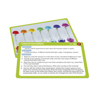 Junior Learning JL359 50 STEM Activities cards front and back close up